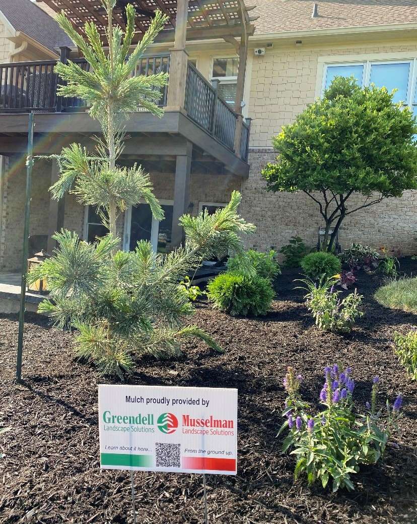 Is Dyed Garden Mulch Toxic? – EARTHeim Landscape Design Lexington Kentucky