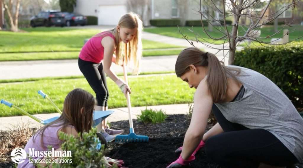Benefits of Mulching in Indy Climate Musselman Landscaping