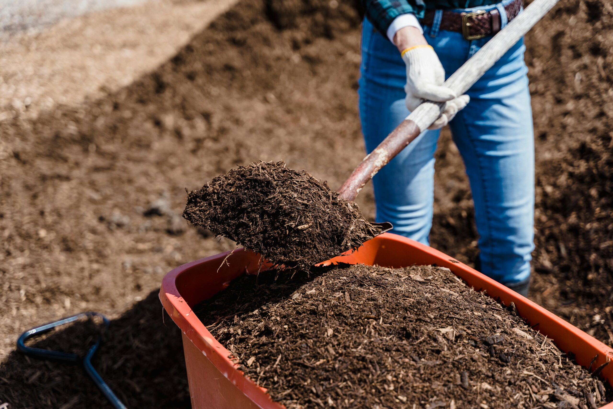 Mulching image